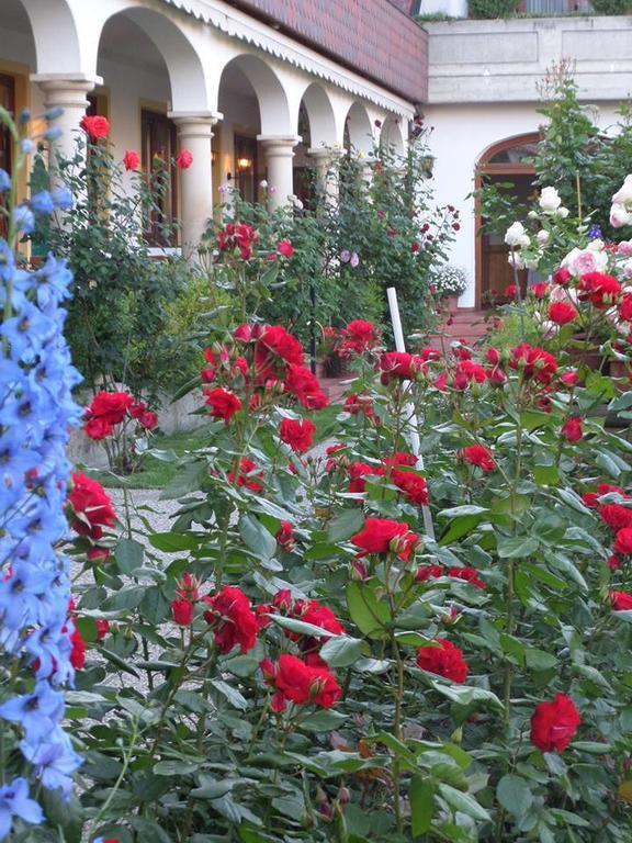 Hotel Weingut Rosenhof 일미츠 외부 사진